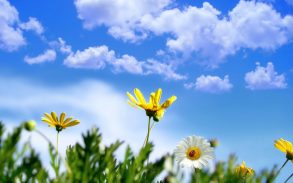 Ya ha llegado la primavera
