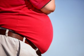 La Obesidad: Conceptos Generales