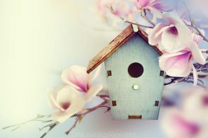 Tratamientos ideales para realizar en primavera
